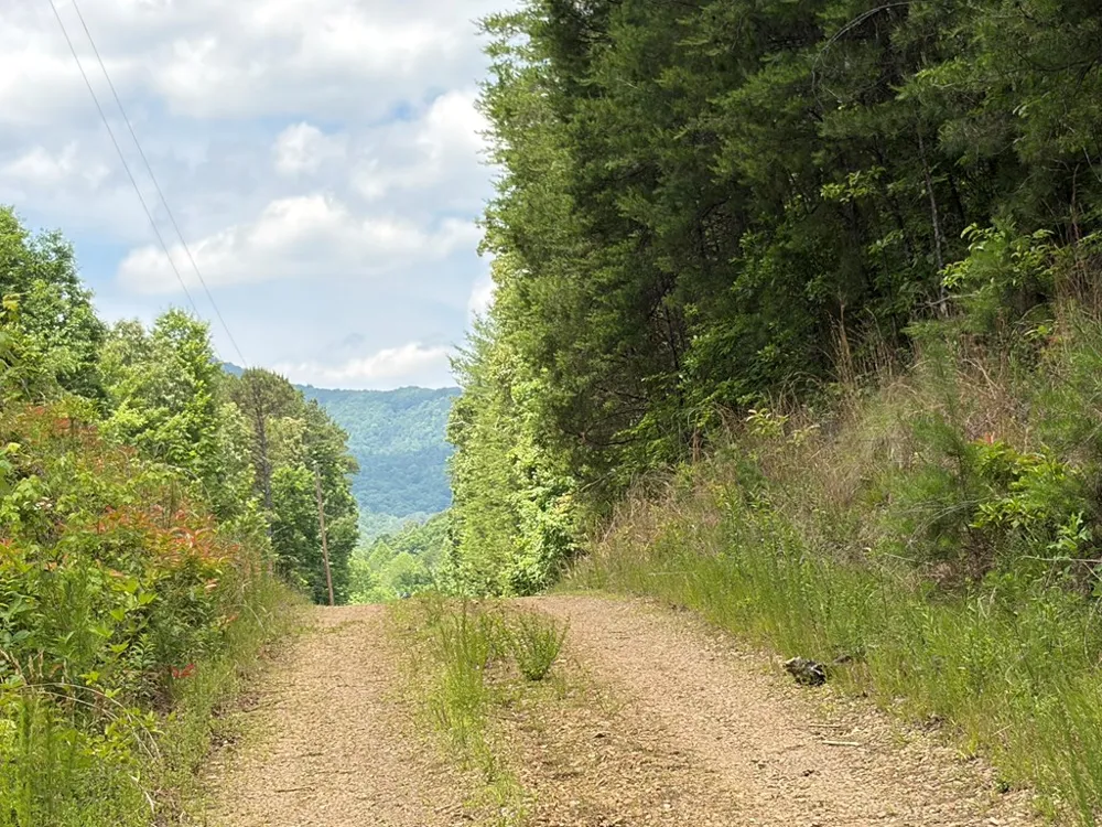 155 Acre Hemlock Ridge Subd Turtletown, TN 37391