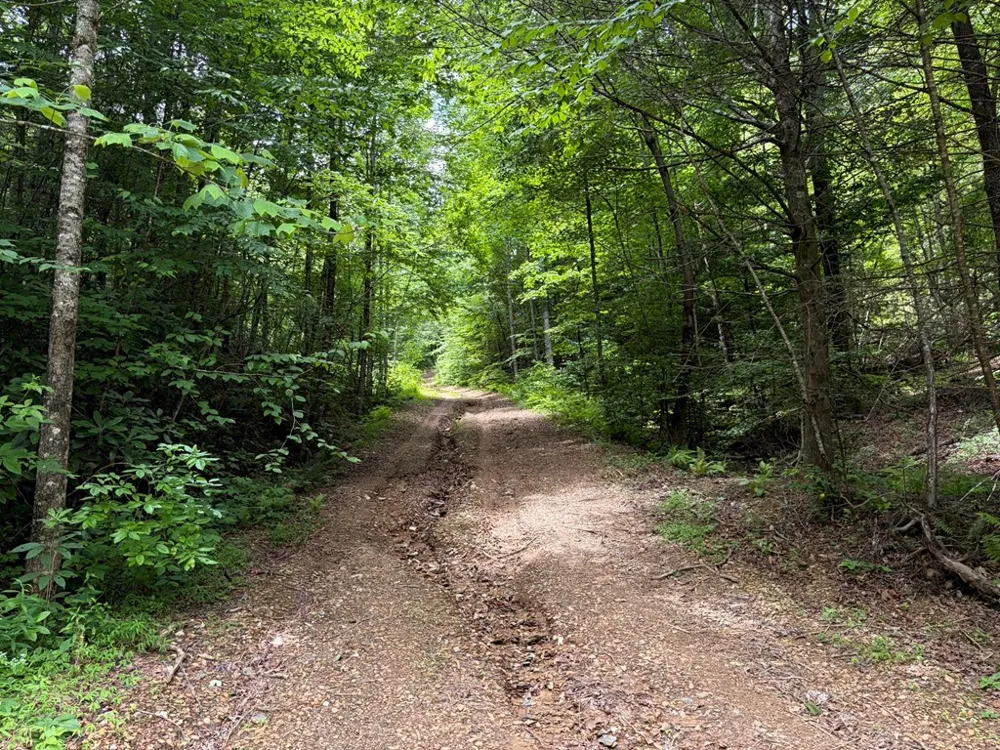 155 Acre Hemlock Ridge Subd Turtletown, TN 37391