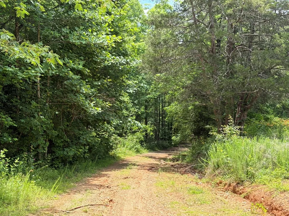 155 Acre Hemlock Ridge Subd Turtletown, TN 37391