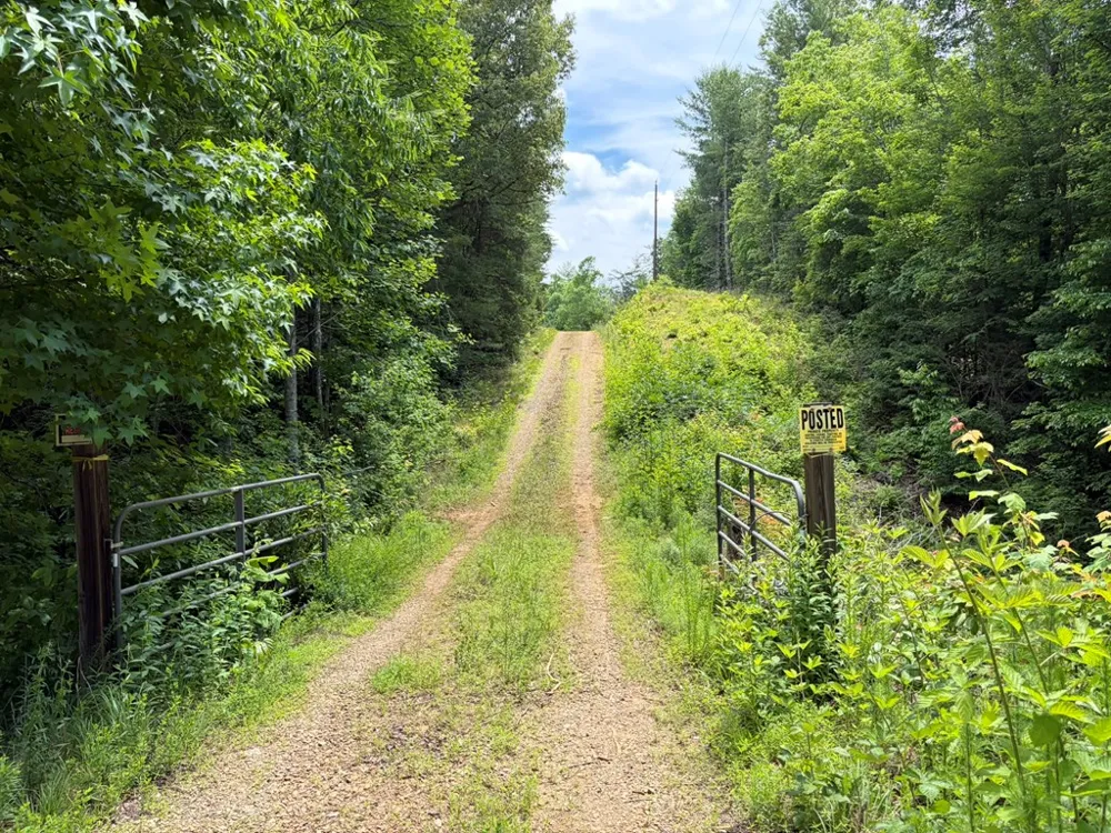 155 Acre Hemlock Ridge Subd Turtletown, TN 37391