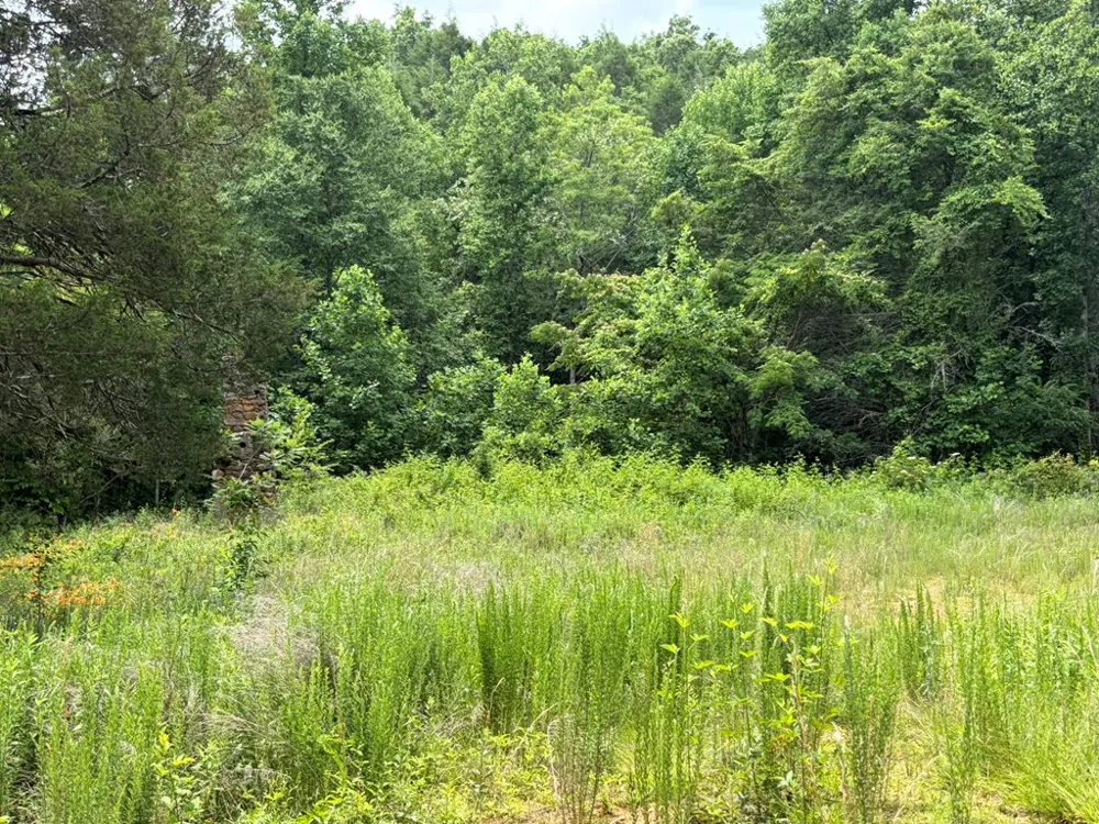 155 Acre Hemlock Ridge Subd Turtletown, TN 37391