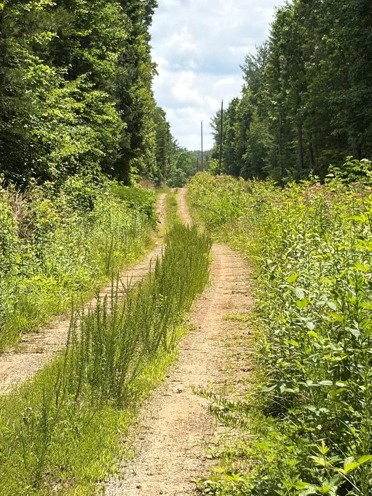 155 Acre Hemlock Ridge Subd Turtletown, TN 37391