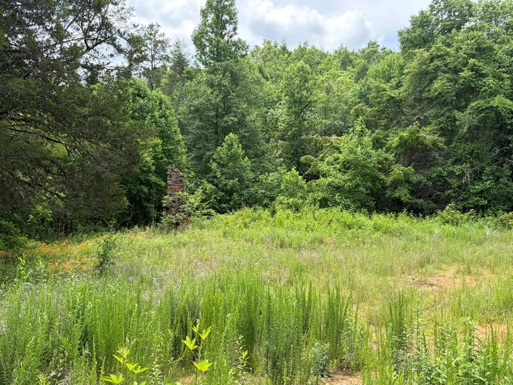 155 Acre Hemlock Ridge Subd Turtletown, TN 37391