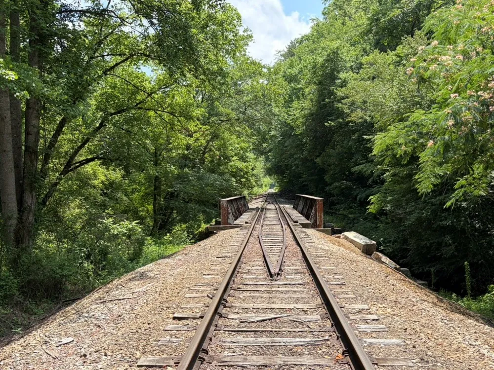 155 Acre Hemlock Ridge Subd Turtletown, TN 37391