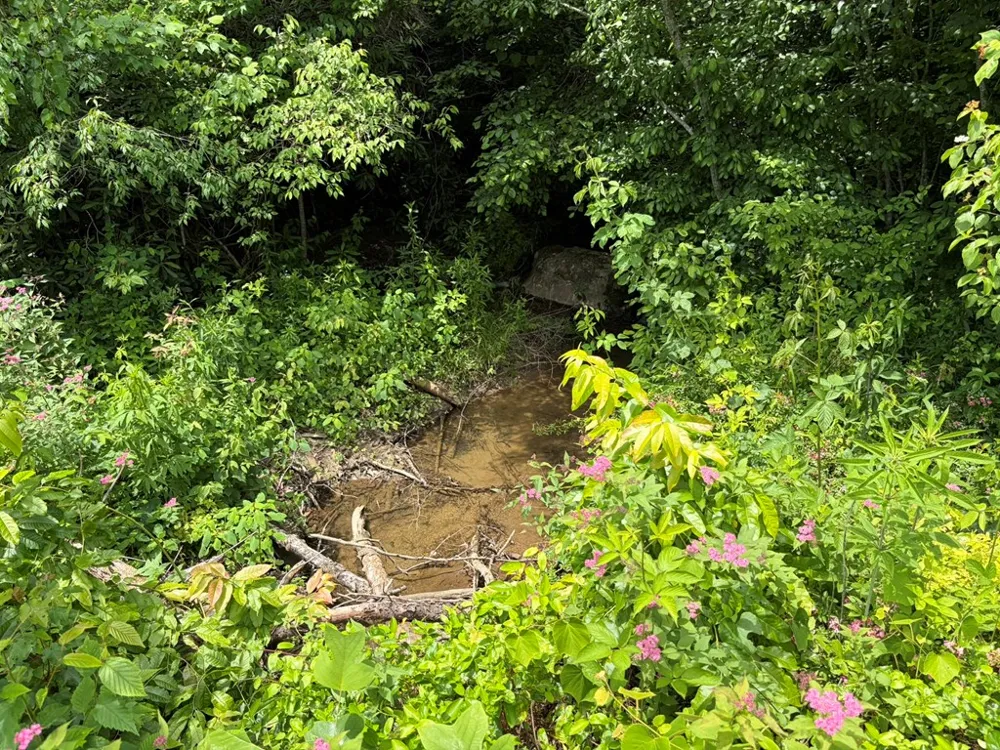 155 Acre Hemlock Ridge Subd Turtletown, TN 37391