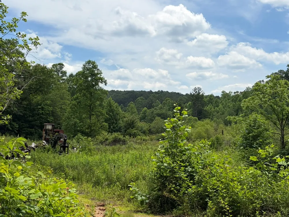155 Acre Hemlock Ridge Subd Turtletown, TN 37391