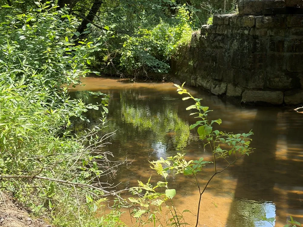 155 Acre Hemlock Ridge Subd Turtletown, TN 37391