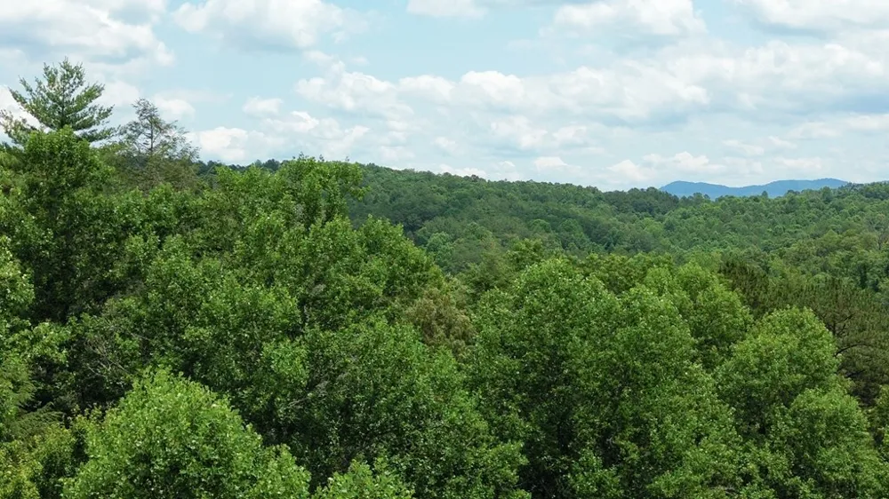 155 Acre Hemlock Ridge Subd Turtletown, TN 37391