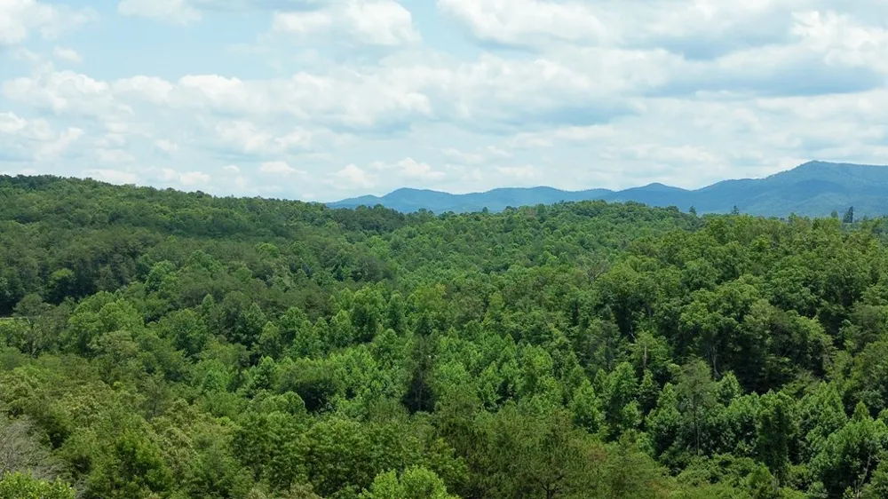 155 Acre Hemlock Ridge Subd Turtletown, TN 37391
