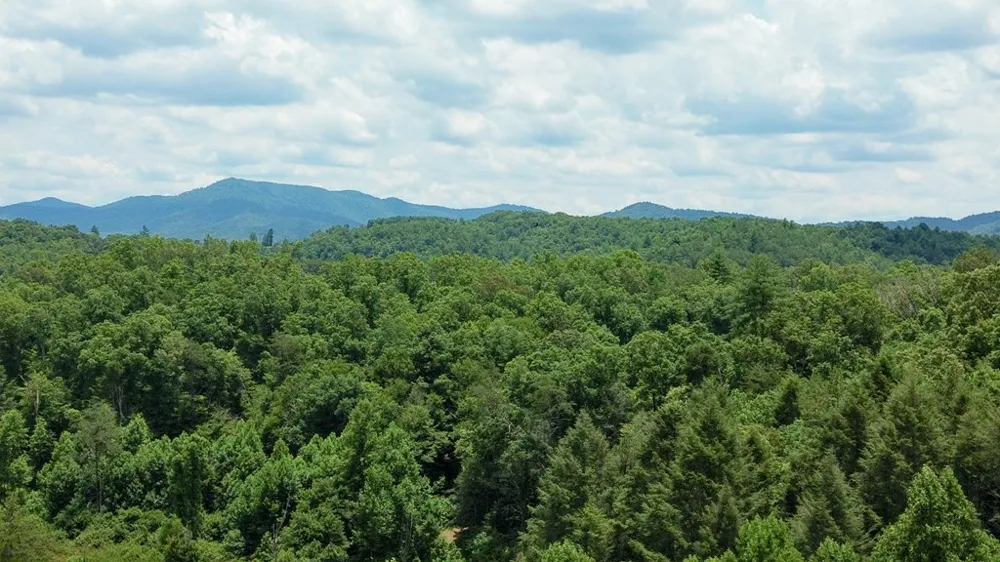 155 Acre Hemlock Ridge Subd Turtletown, TN 37391