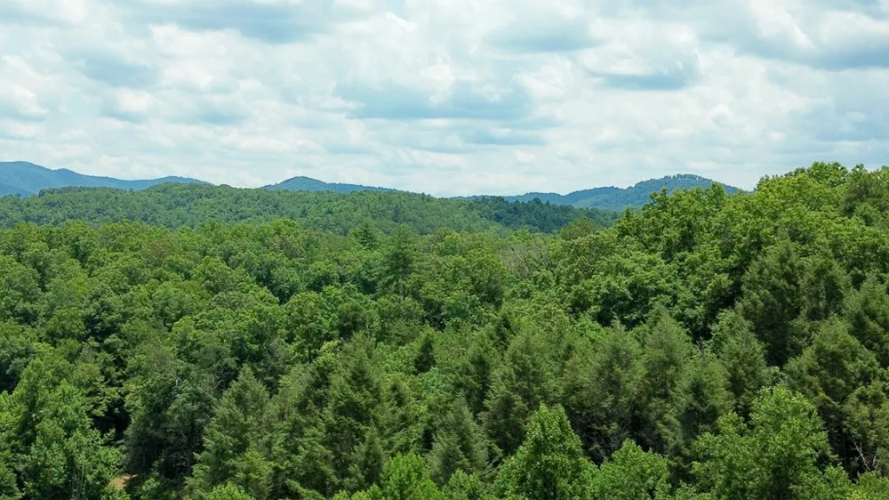 155 Acre Hemlock Ridge Subd Turtletown, TN 37391