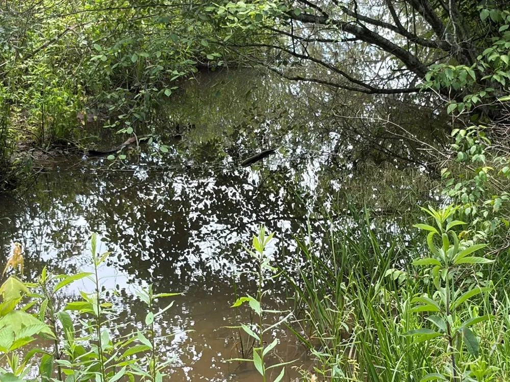 155 Acre Hemlock Ridge Subd Turtletown, TN 37391