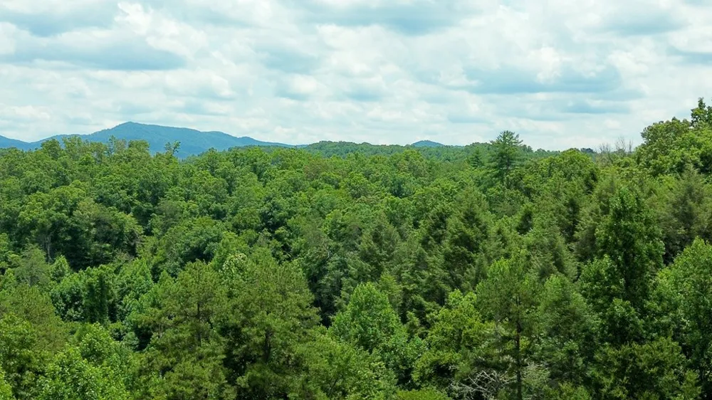 155 Acre Hemlock Ridge Subd Turtletown, TN 37391