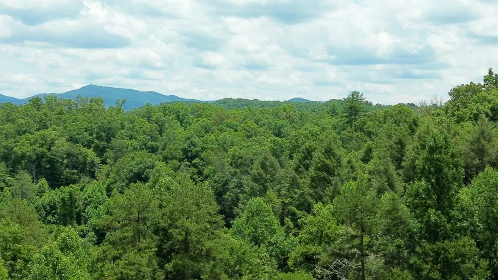 155 Acre Hemlock Ridge Subd Turtletown, TN 37391