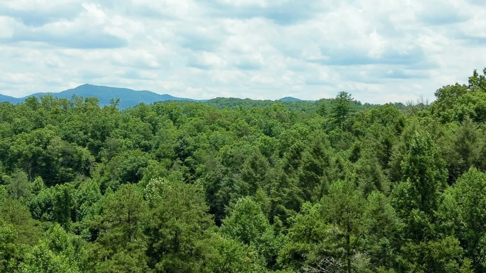 155 Acre Hemlock Ridge Subd Turtletown, TN 37391