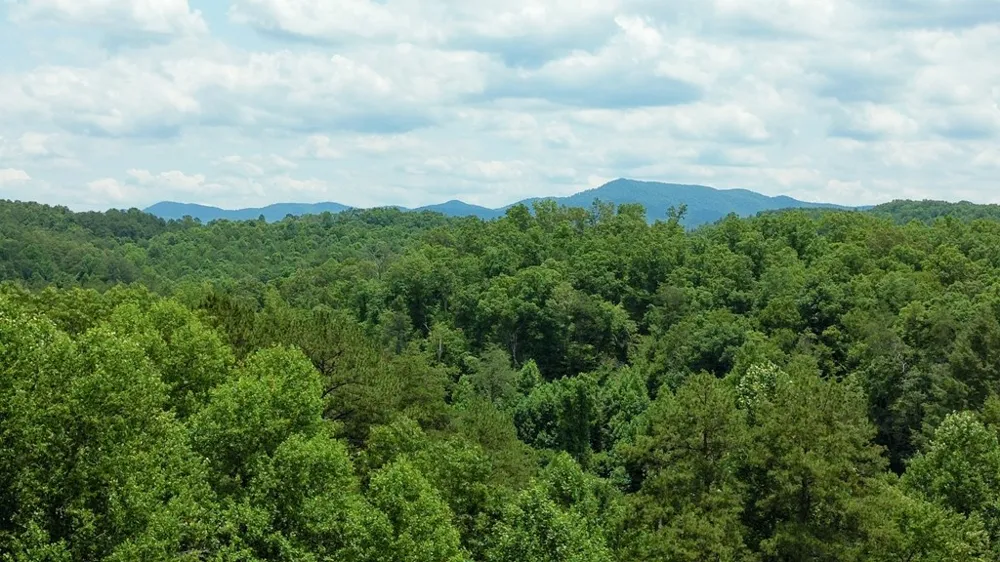 155 Acre Hemlock Ridge Subd Turtletown, TN 37391