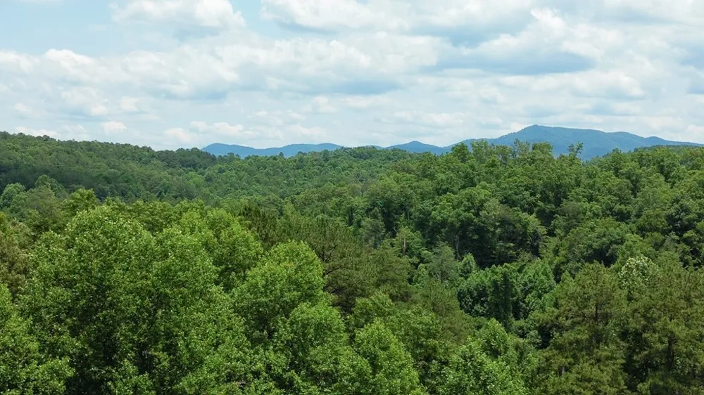 155 Acre Hemlock Ridge Subd Turtletown, TN 37391