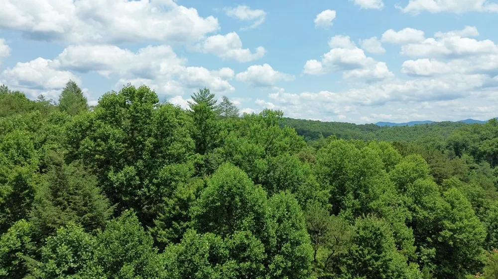 155 Acre Hemlock Ridge Subd Turtletown, TN 37391
