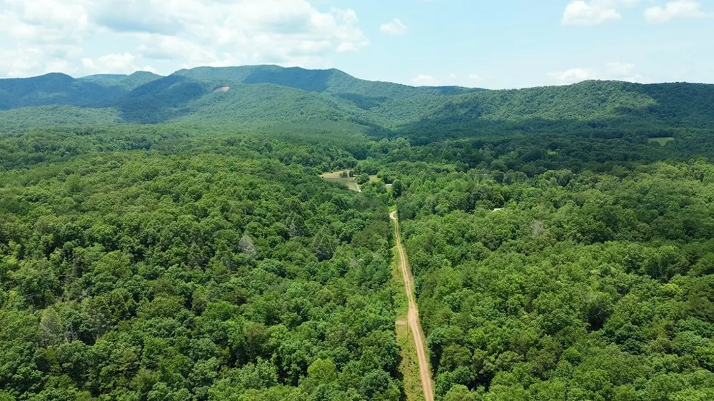 155 Acre Hemlock Ridge Subd Turtletown, TN 37391