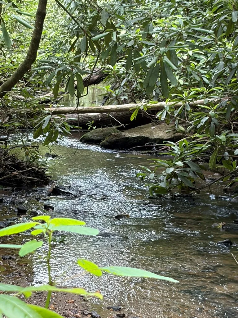 155 Acre Hemlock Ridge Subd Turtletown, TN 37391