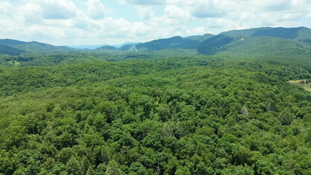 155 Acre Hemlock Ridge Subd Turtletown, TN 37391