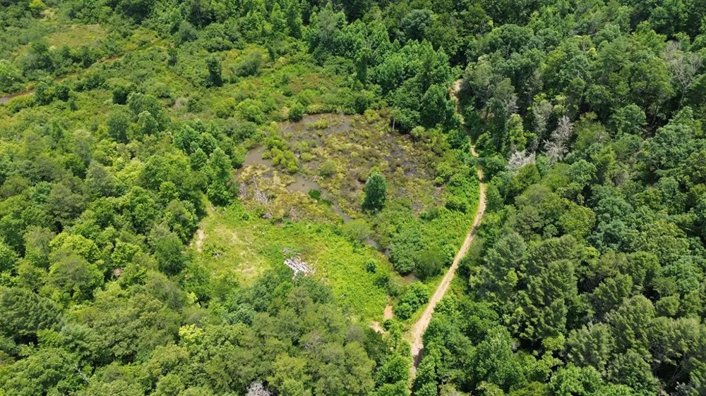 155 Acre Hemlock Ridge Subd Turtletown, TN 37391