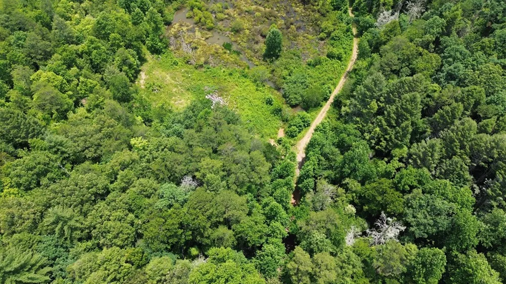 155 Acre Hemlock Ridge Subd Turtletown, TN 37391