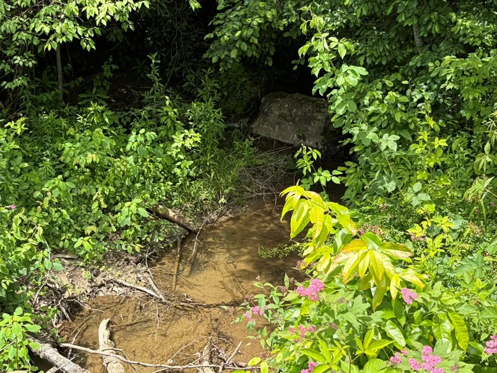 155 Acre Hemlock Ridge Subd Turtletown, TN 37391