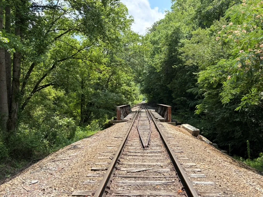 155 Acre Hemlock Ridge Subd Turtletown, TN 37391