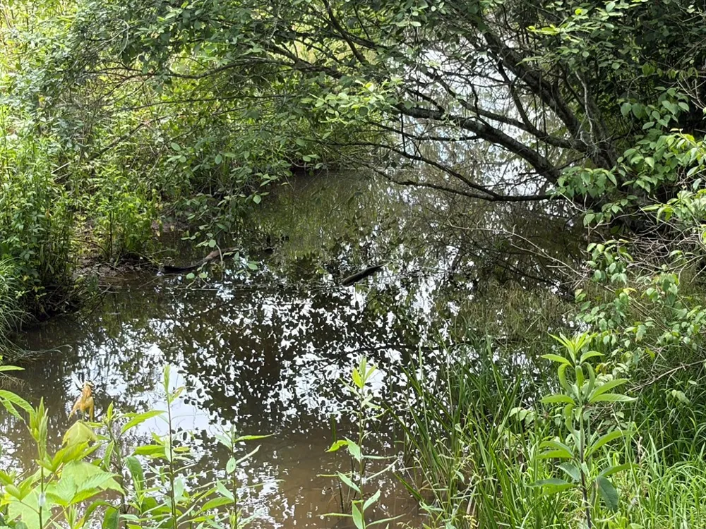 155 Acre Hemlock Ridge Subd Turtletown, TN 37391