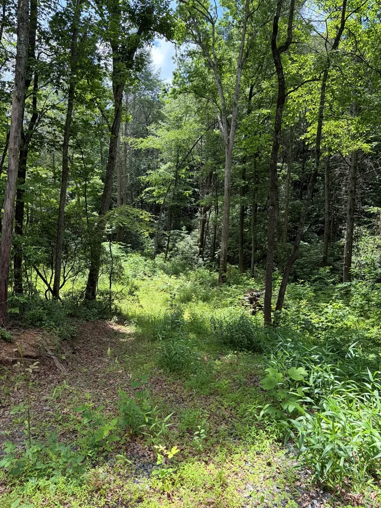 155 Acre Hemlock Ridge Subd Turtletown, TN 37391