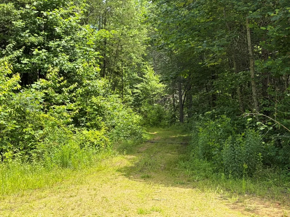 155 Acre Hemlock Ridge Subd Turtletown, TN 37391