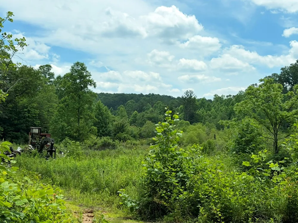 155 Acre Hemlock Ridge Subd Turtletown, TN 37391