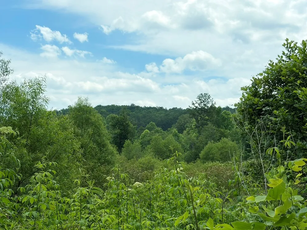 155 Acre Hemlock Ridge Subd Turtletown, TN 37391