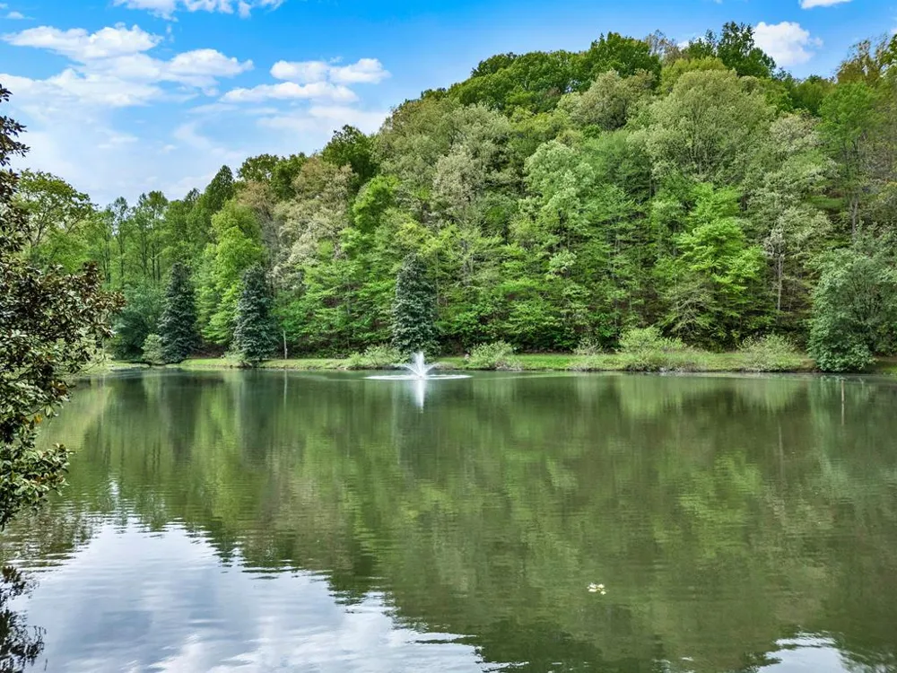 5 W Muller Lane East Ellijay, GA 30540