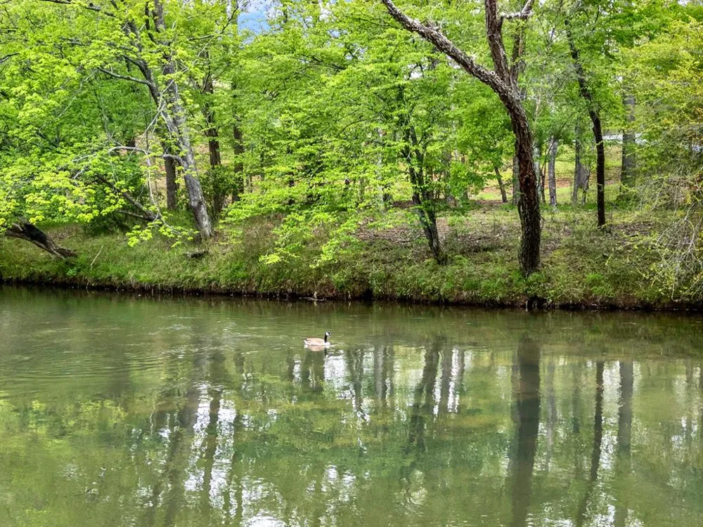 5 W Muller Lane East Ellijay, GA 30540