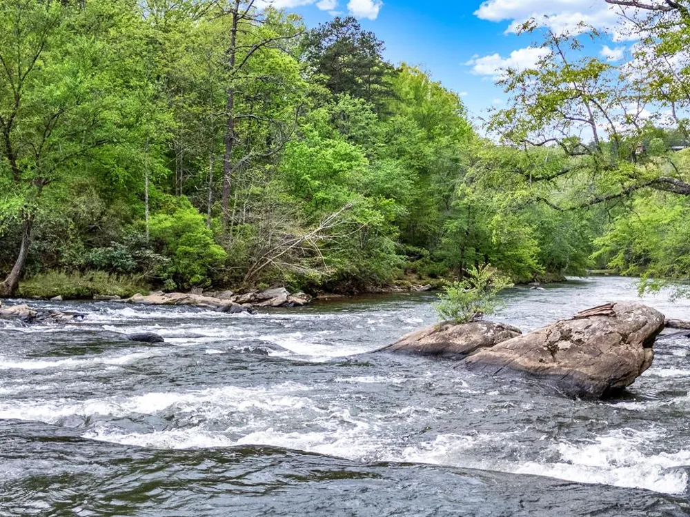 5 W Muller Lane East Ellijay, GA 30540