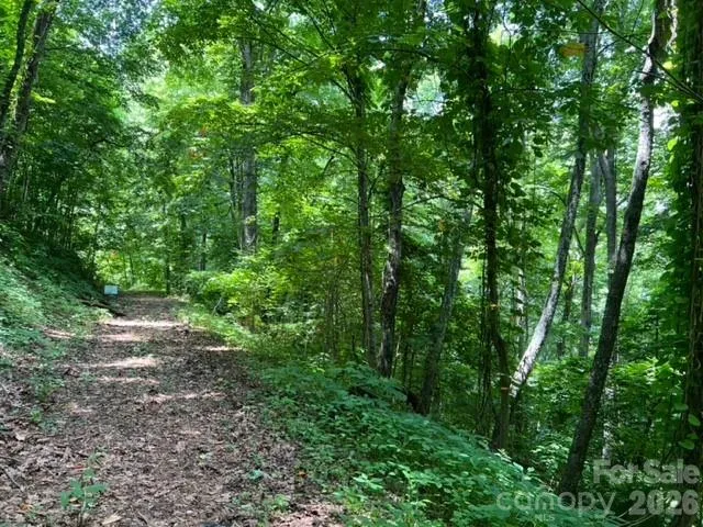 00 Utah Mountain Road Waynesville, NC 28785