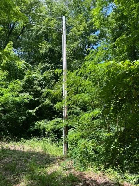 00 Utah Mountain Road Waynesville, NC 28785