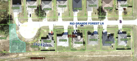 2328 Rio Grande Forest Lane
