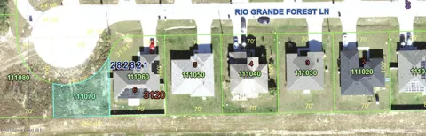 2324 Rio Grande Forest Lane