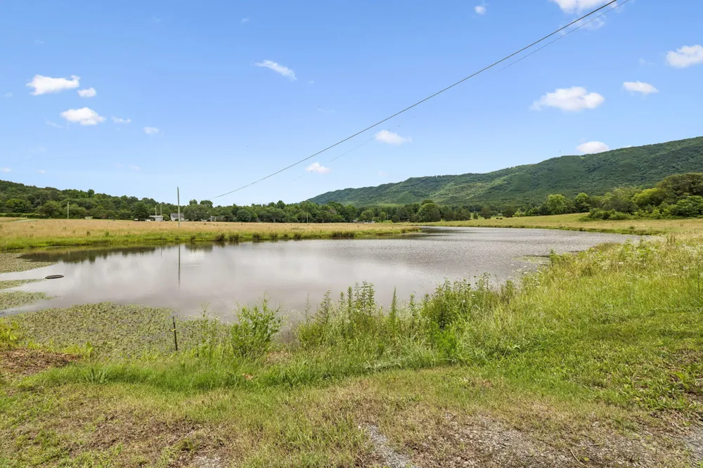 187 Burns Lane Benton, TN 37307