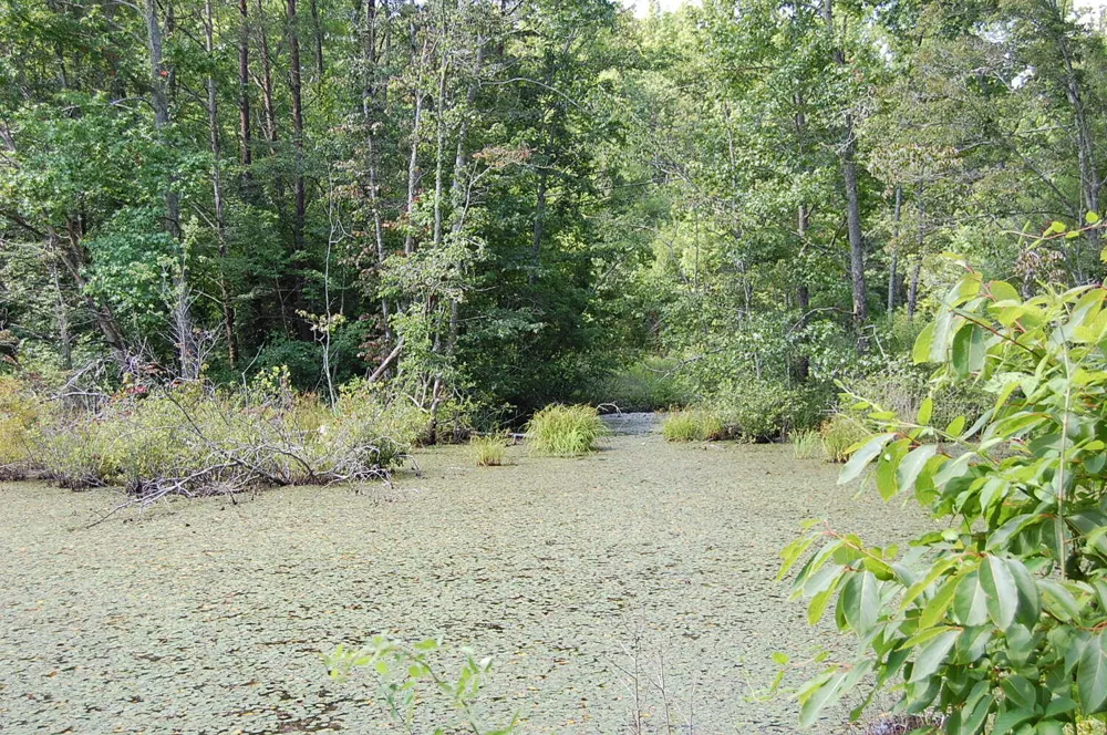 57 Hugh Allison Road Pikeville, TN 37367