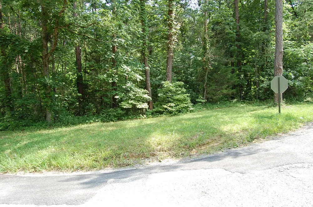 57 Hugh Allison Road Pikeville, TN 37367
