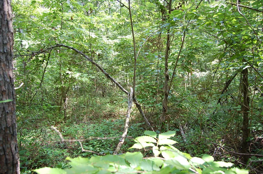 57 Hugh Allison Road Pikeville, TN 37367