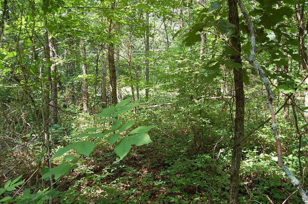 57 Hugh Allison Road Pikeville, TN 37367