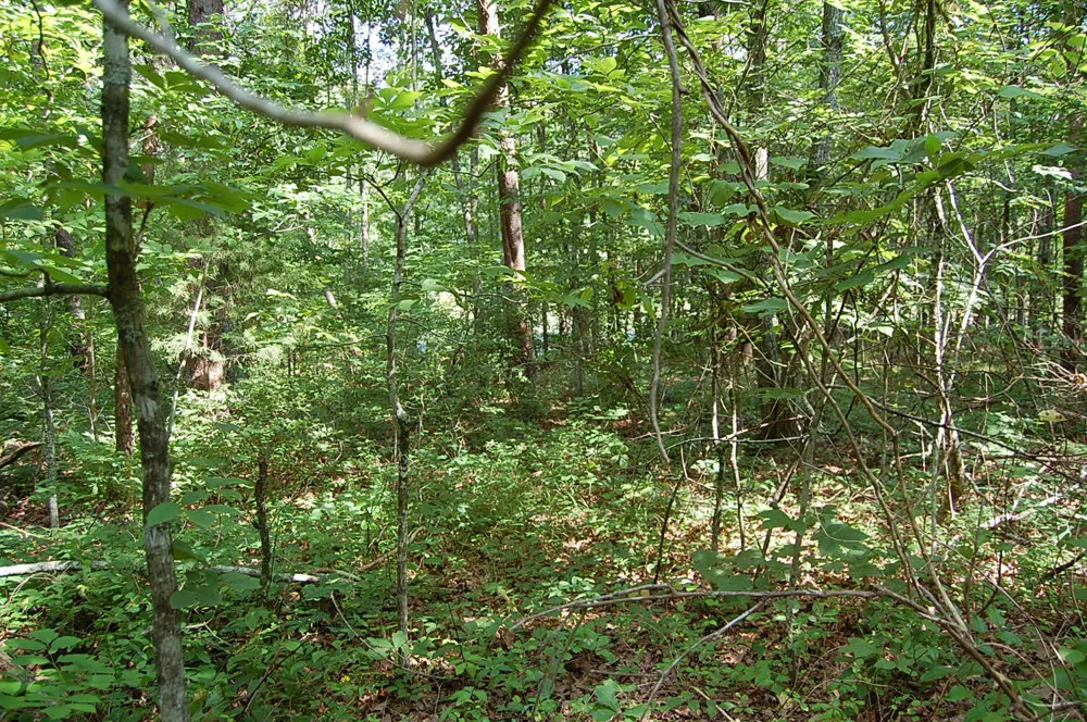 57 Hugh Allison Road Pikeville, TN 37367