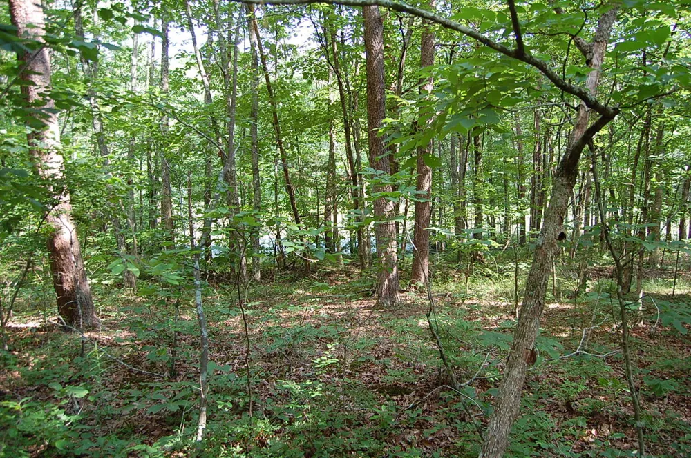 57 Hugh Allison Road Pikeville, TN 37367