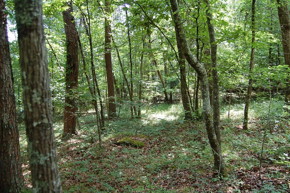 57 Hugh Allison Road Pikeville, TN 37367