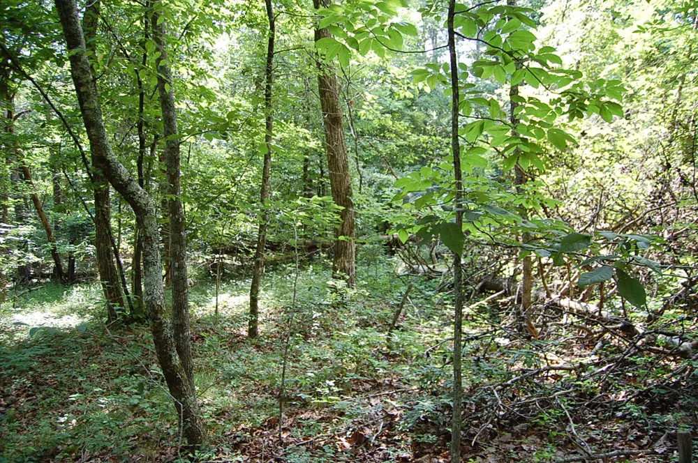 57 Hugh Allison Road Pikeville, TN 37367